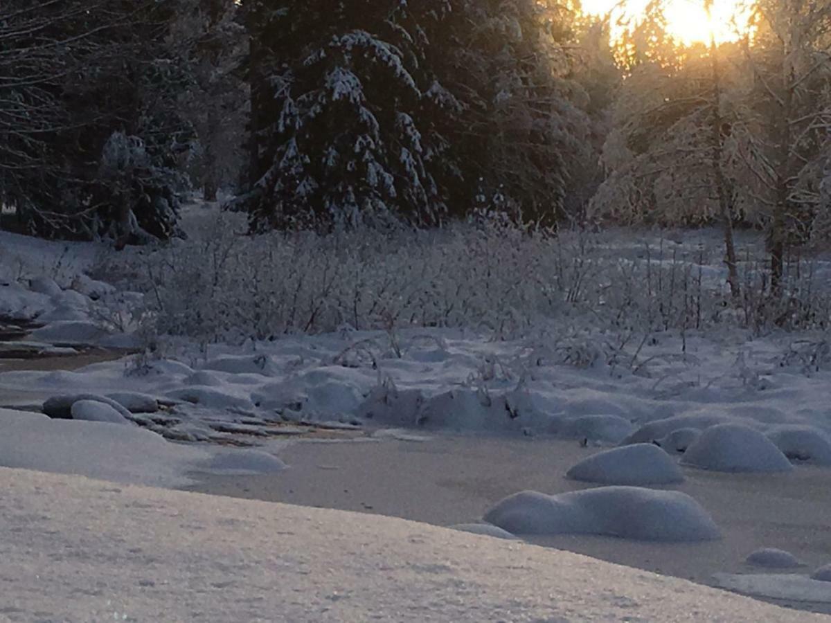 ホテル Seinaejoen Leirintaealue Seinäjoki エクステリア 写真